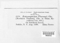 Image Associated With the Occurence